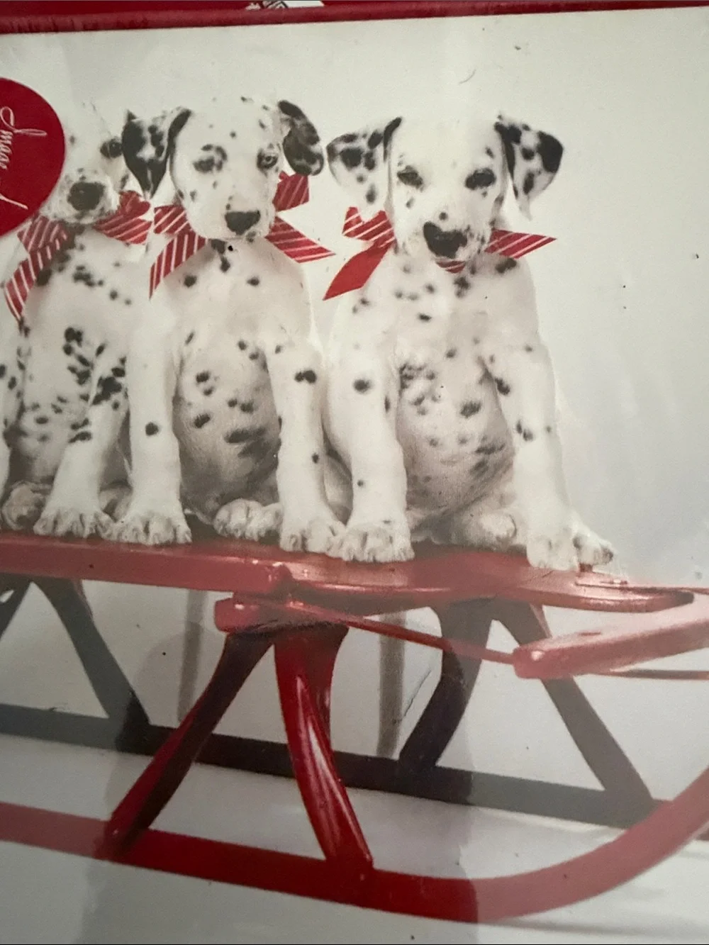Holiday Greeting Card Set with Dalmatian Sled Design and Winter Church Cards